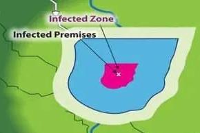 Boseccurity map SD Summer 25 web.jpeg